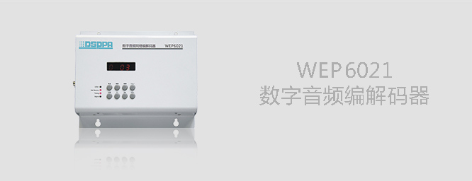 数字音频编解码器WEP6021 