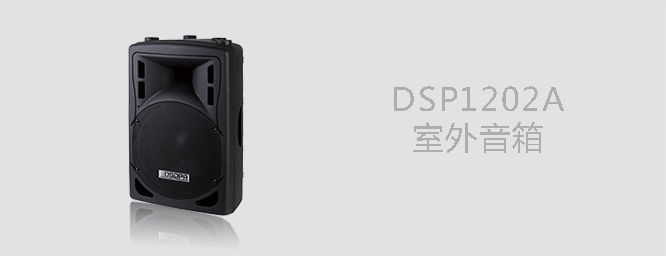 室外音箱DSP1202A 