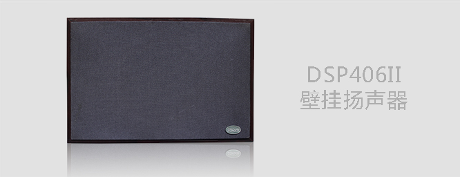 壁挂扬声器DSP406Ⅱ 