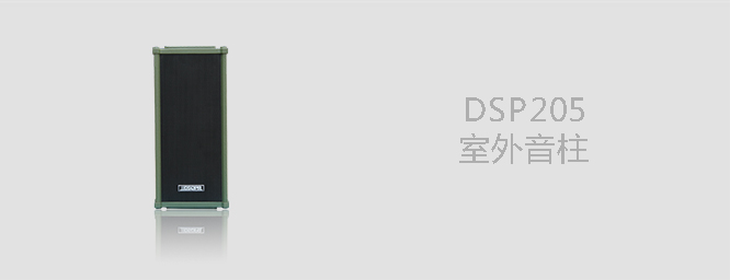 室外音柱DSP205 